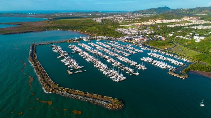 Grady White Canyon 336 | 23