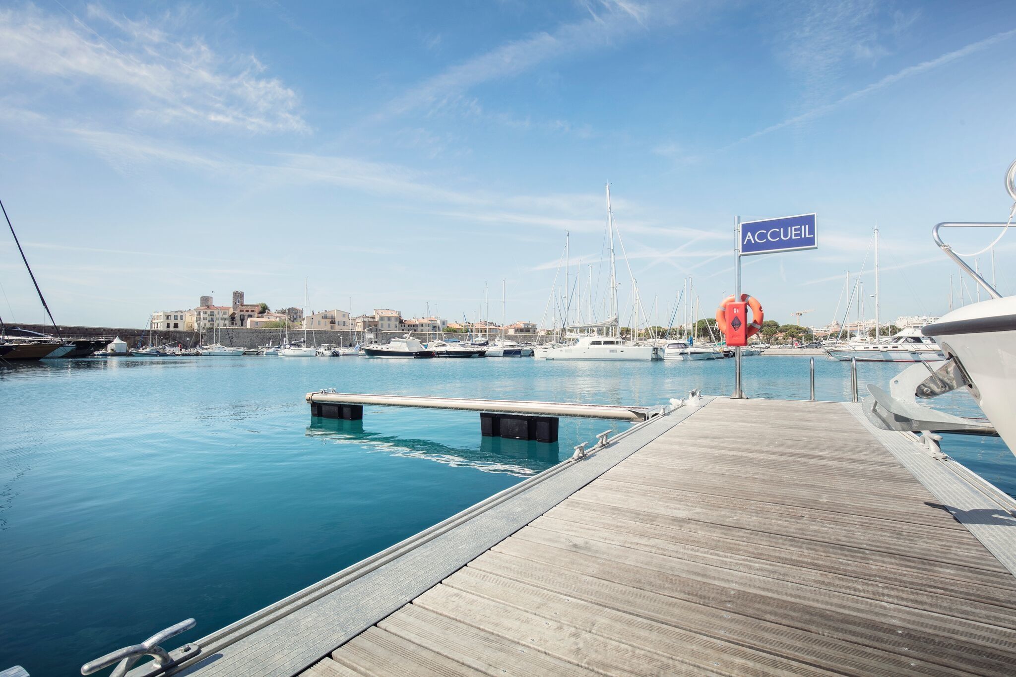 Leopard 24 | Cristal 1