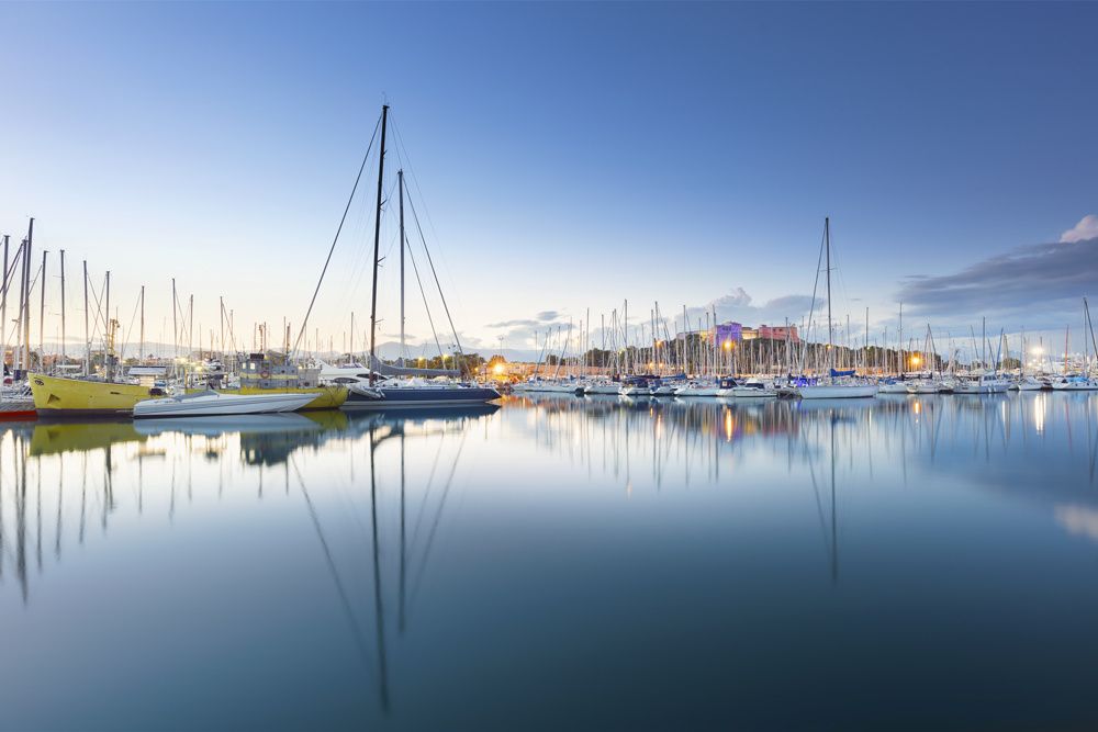 Leopard 24 | Cristal 1