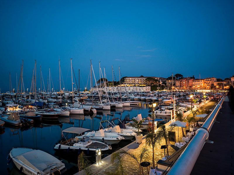 Nimbus T9 | Cinnamon