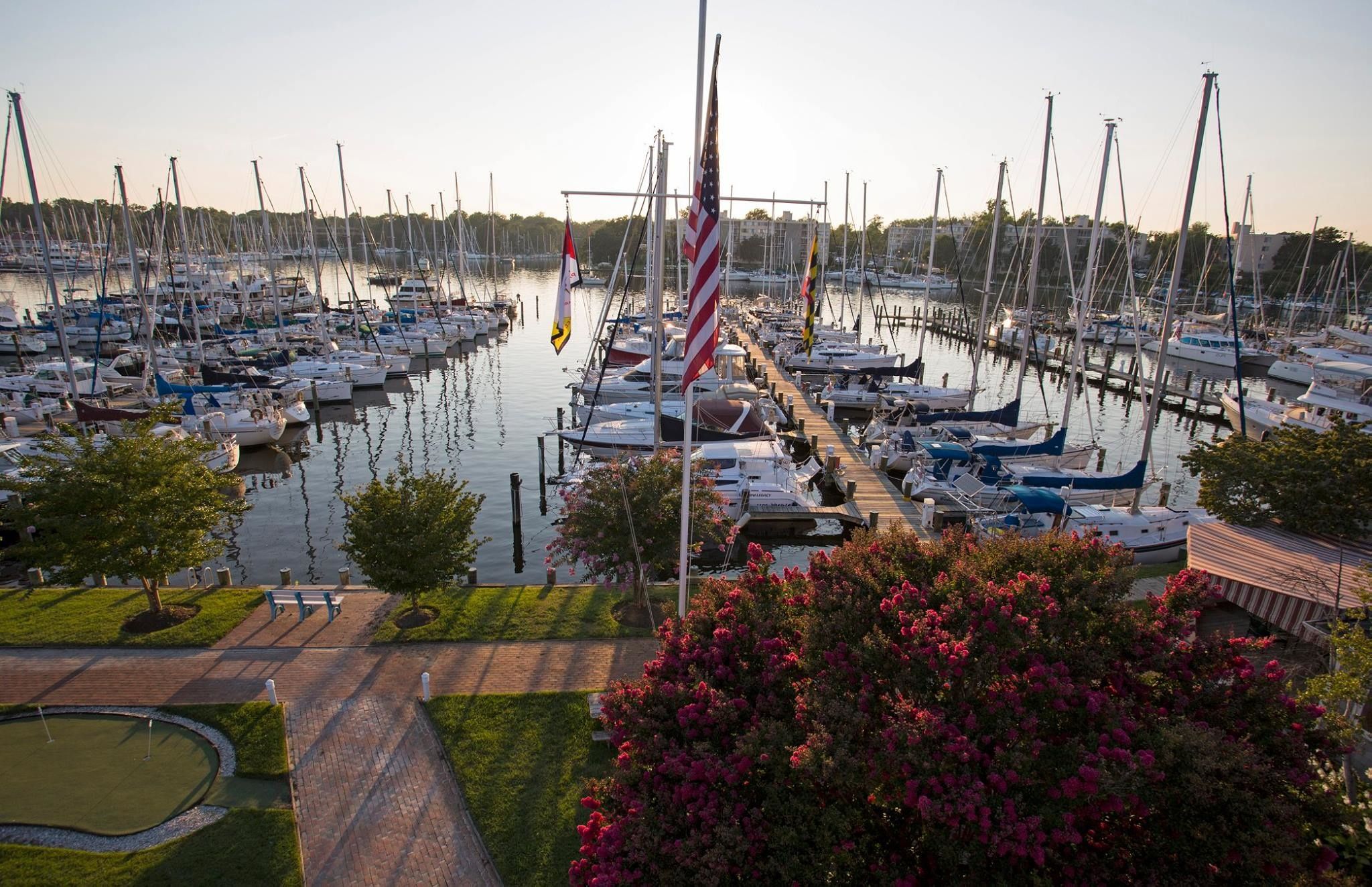 Dufour 430 | Opportune Moment