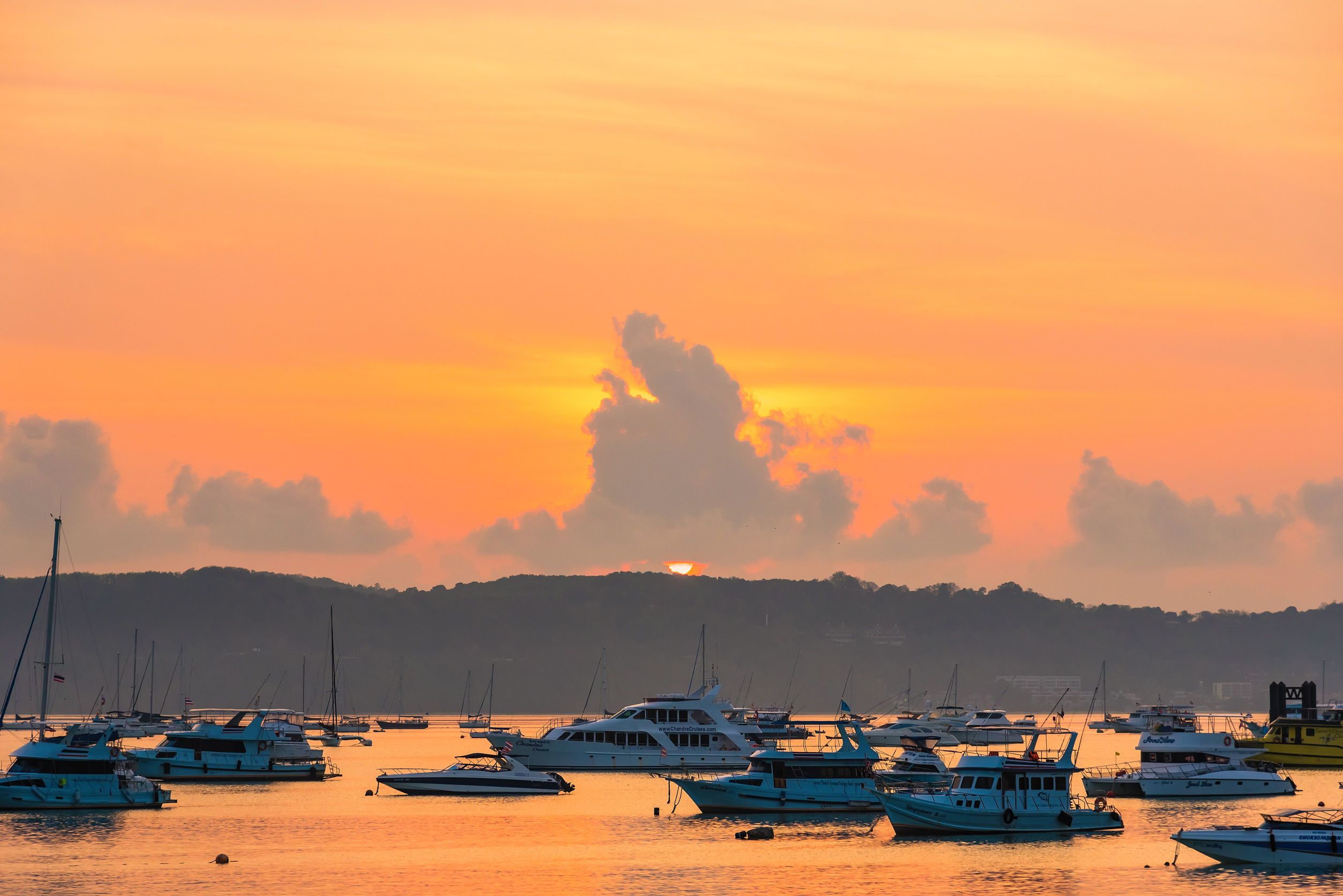 Custom Built 39 | Katapult