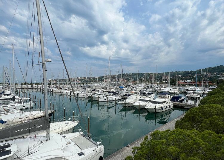 Elan 45.1 Impression | Triton