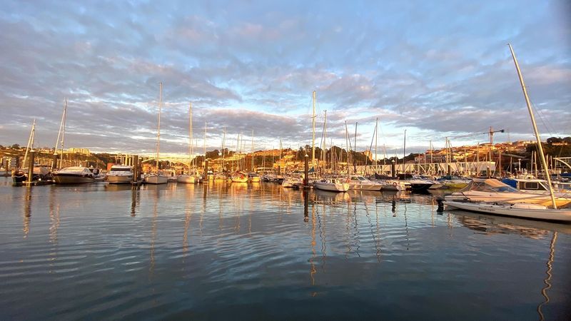 Invictus GT 370 | Invictus Cruises