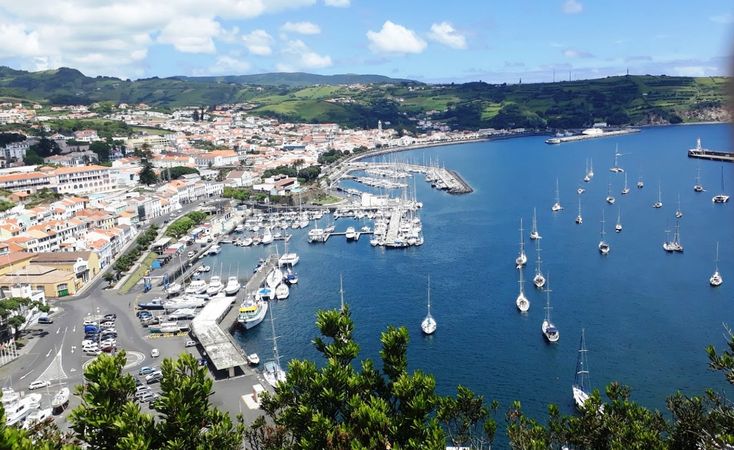 Moggaro M950 | Betty