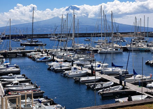 Moggaro M950 | Betty