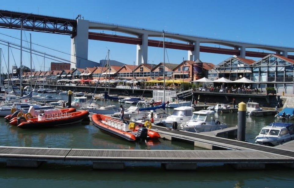 Elan 514 Impression | Why Knot