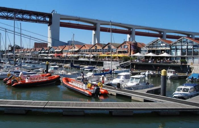 Elan 514 Impression | Why Knot