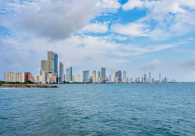 Leopard 51 PC | Valhalla