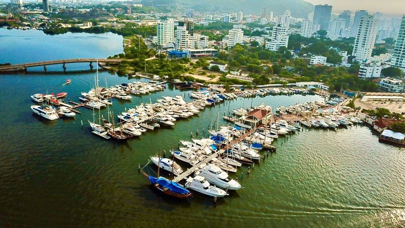 Bravo 41 | Arco Iris 11