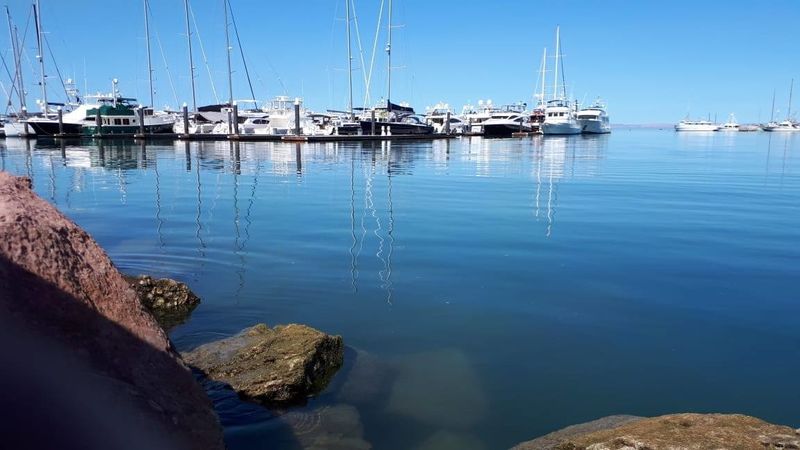 Dufour 460 GL | Grieg