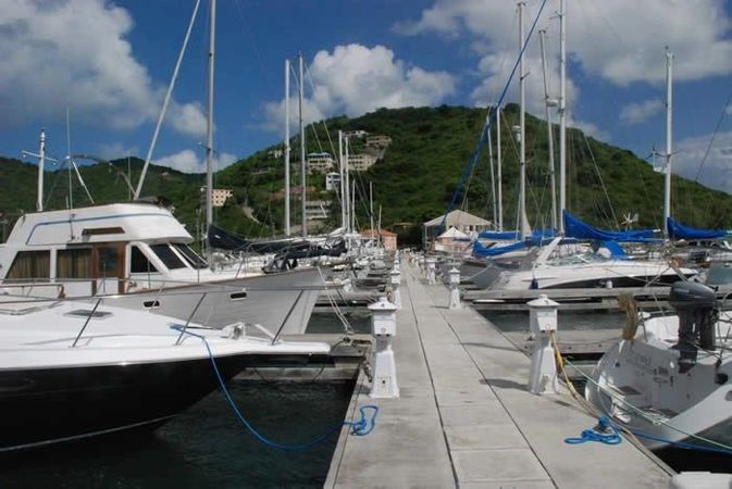 Leopard 40 | Beryl Cinq