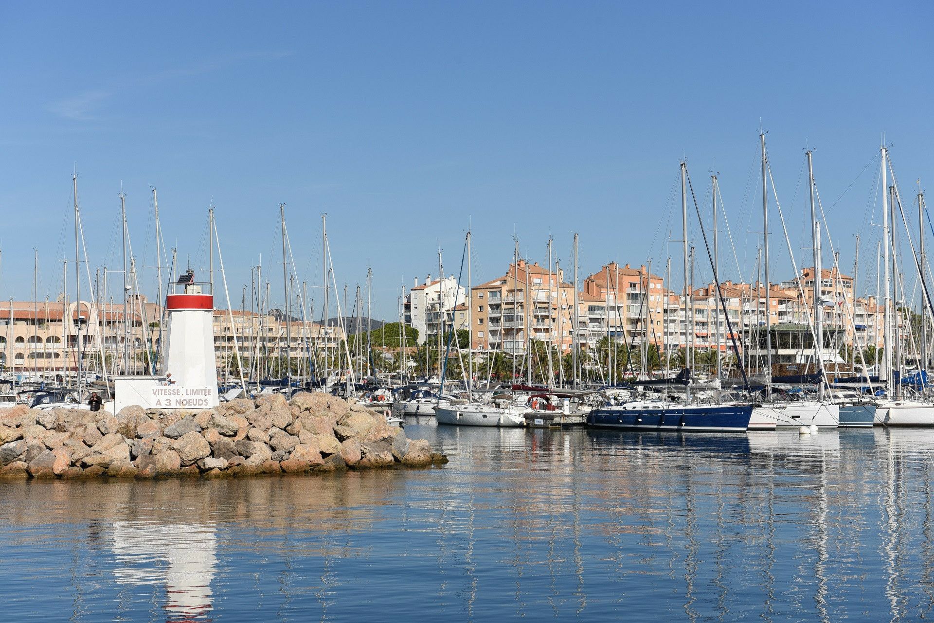 Bali Catspace | Go With The Flow