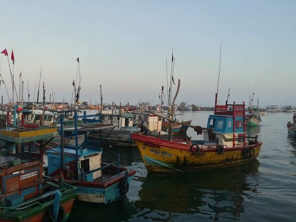 Custom Built 51 | Emerald