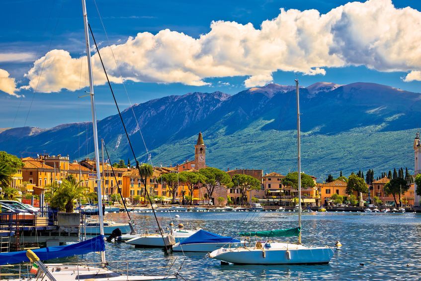 Ranieri 17 | Shark Uno