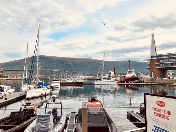 Lagoon 40 | Arctic Charm