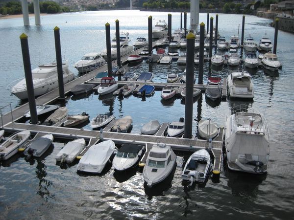 Rodman 1250 | Zafiro