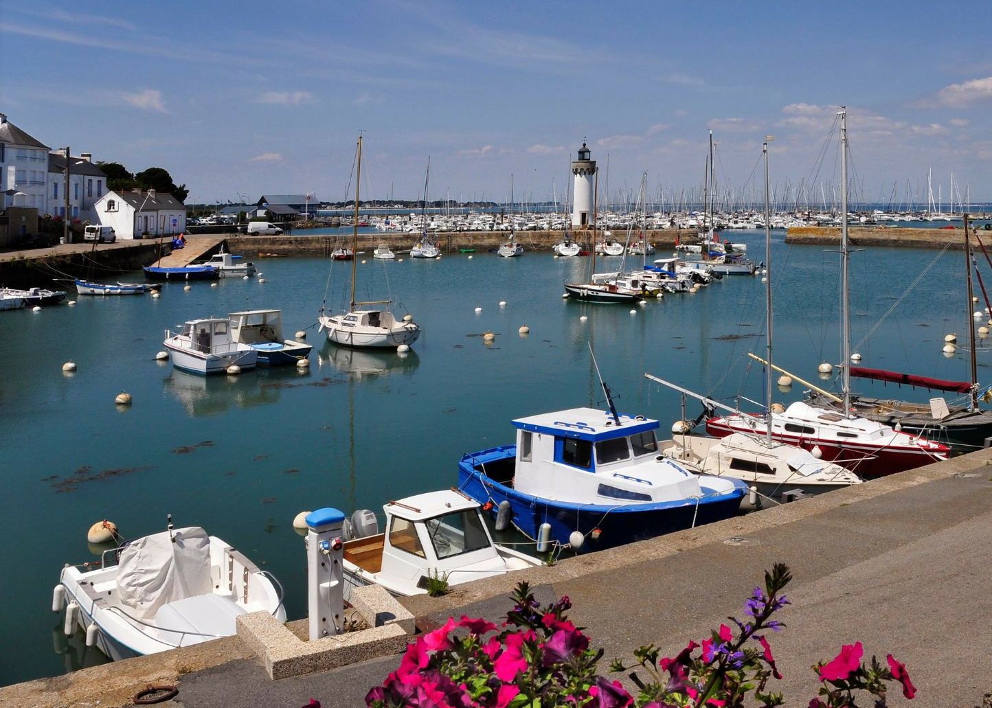 RM 8.90 Biquille | Piyou