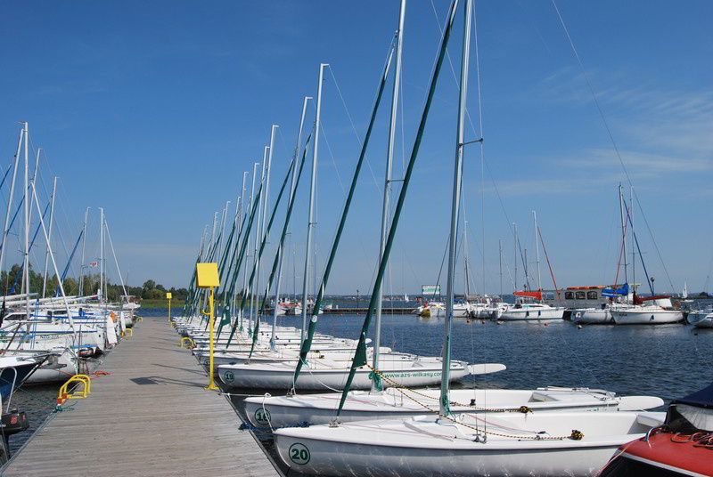 Northman Maxus Evo 24 | Pico