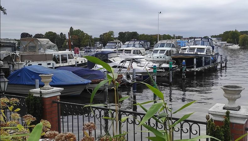 De Drait Deluxe 42 | Alicia