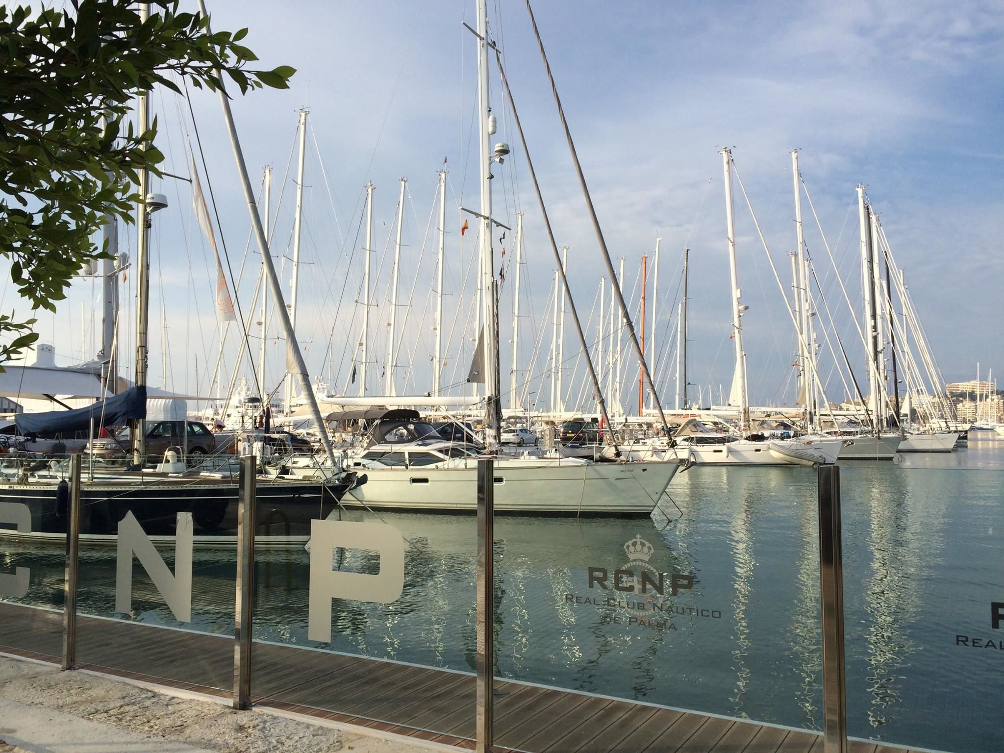 Sun Concept 12 | Tortuga