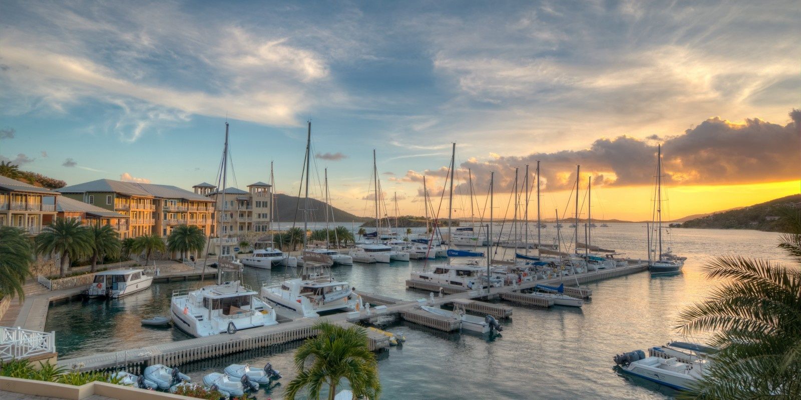 Leopard 514 | Somewhere Hot