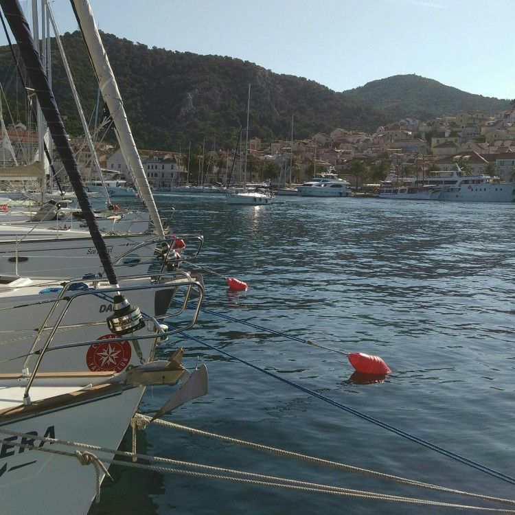 Custom Built 40 | Felix 40