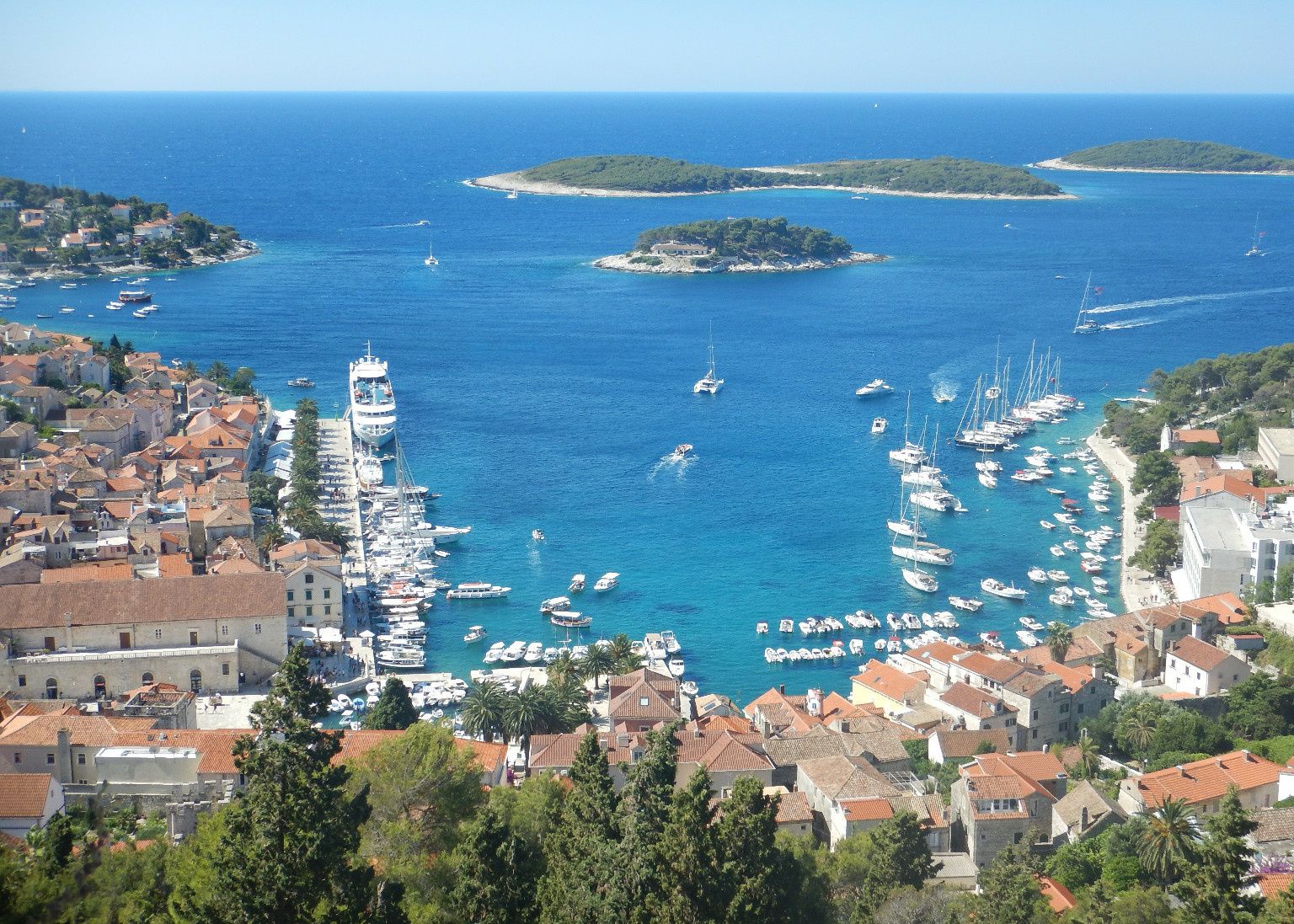 Custom Built 40 | Felix 40