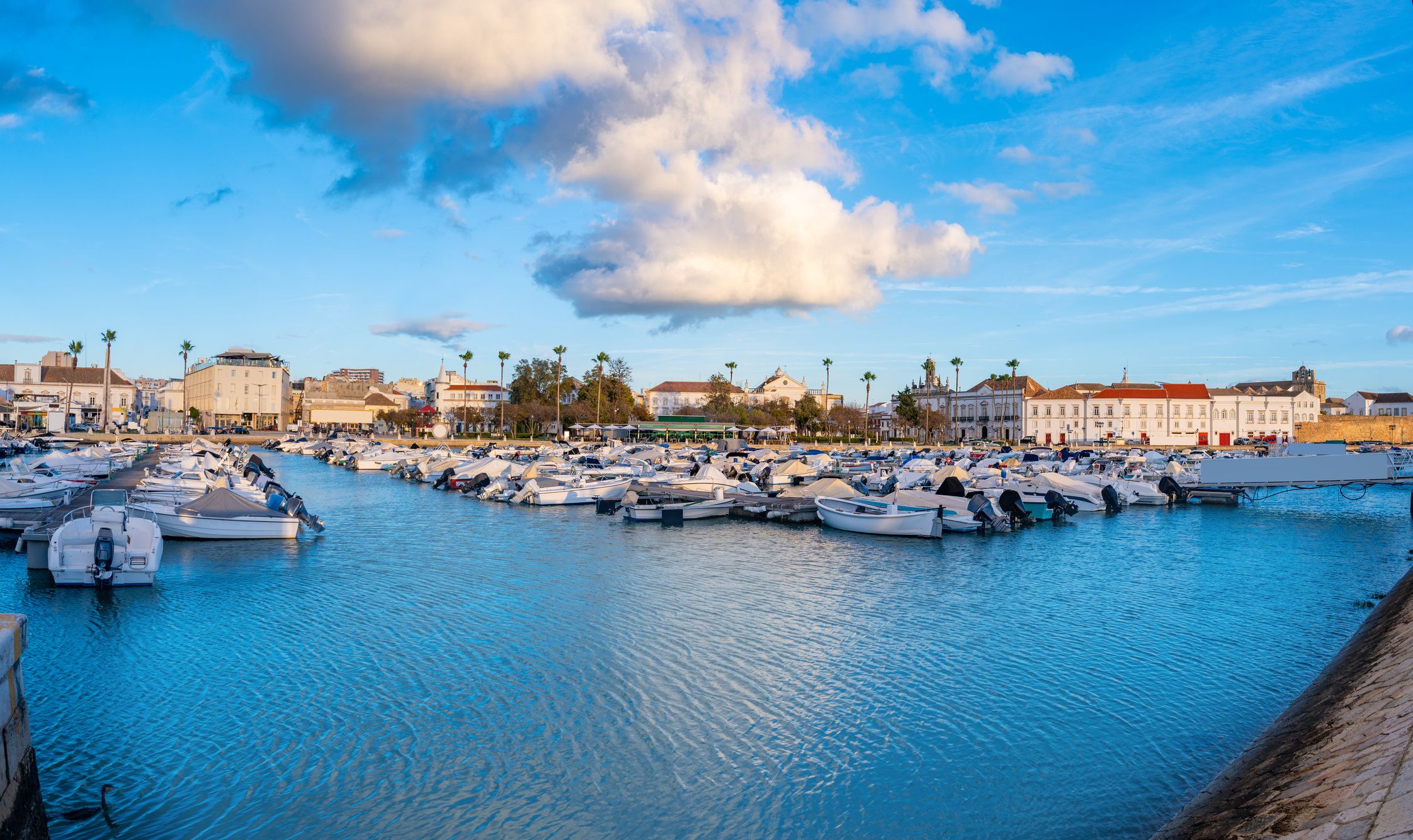 Quicksilver Commander 635 | NessEssity