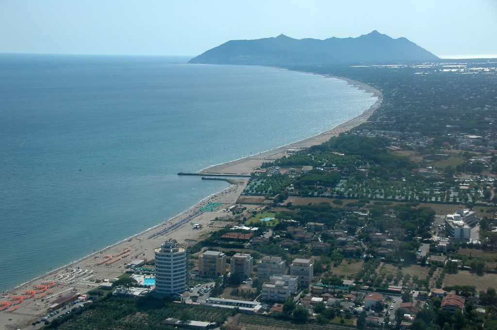 Catmarine 39 | Euphoria