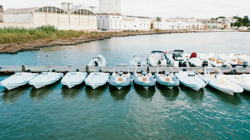 Leopard 384 | Blue Moon