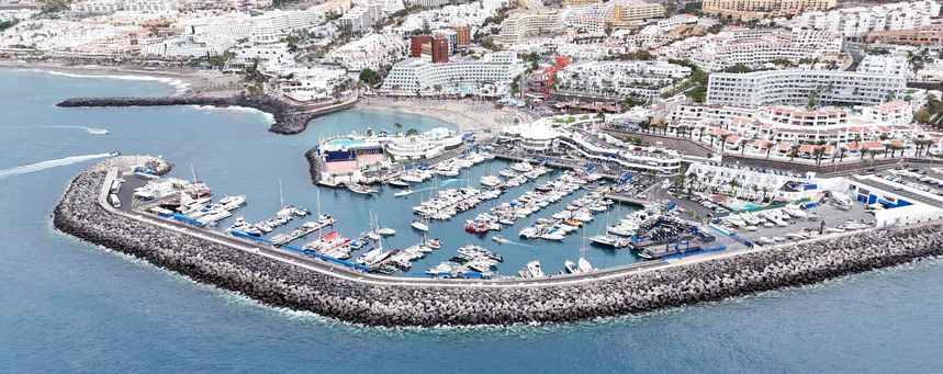 Custom Built 39 | Stenella