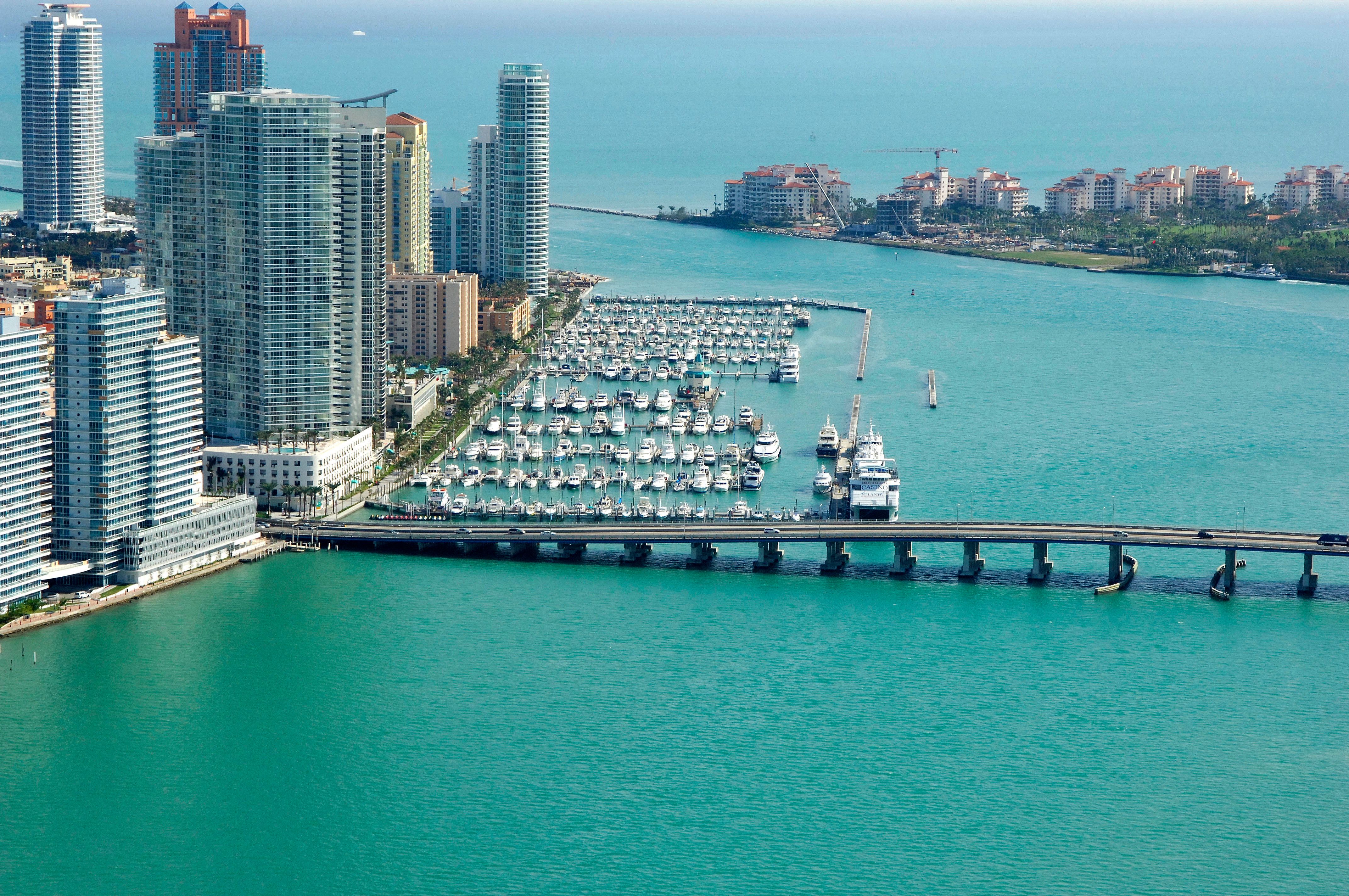 Leopard 105 | Carpe Diem