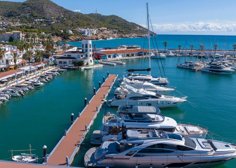 Quicksilver Activ 605 Open | Lio