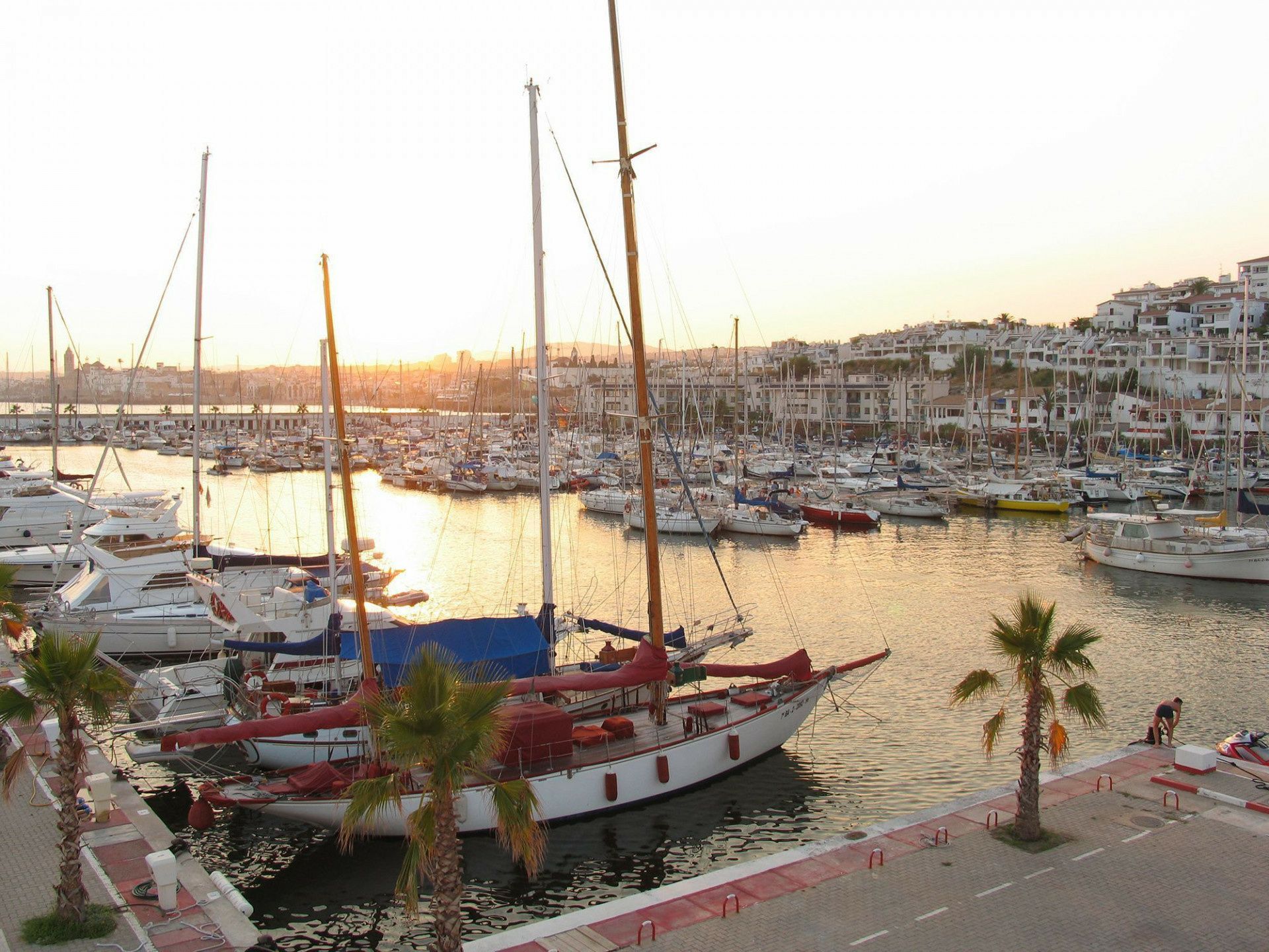 Quicksilver Activ 605 Open | Lio