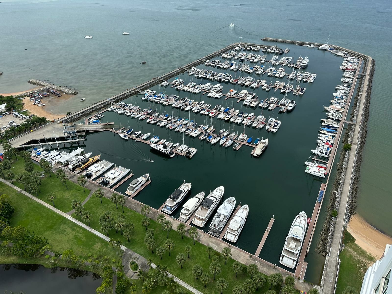 Tarquin 66 | Ambition