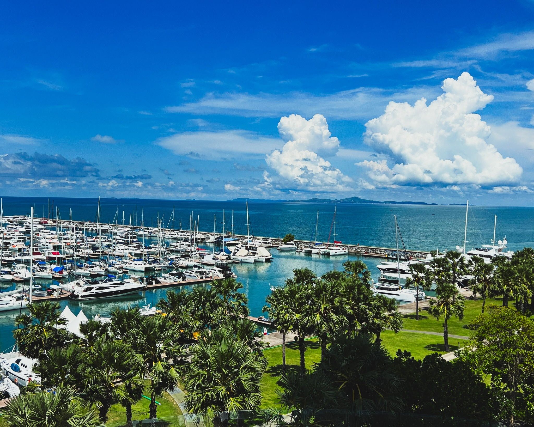 Tarquin 66 | Ambition