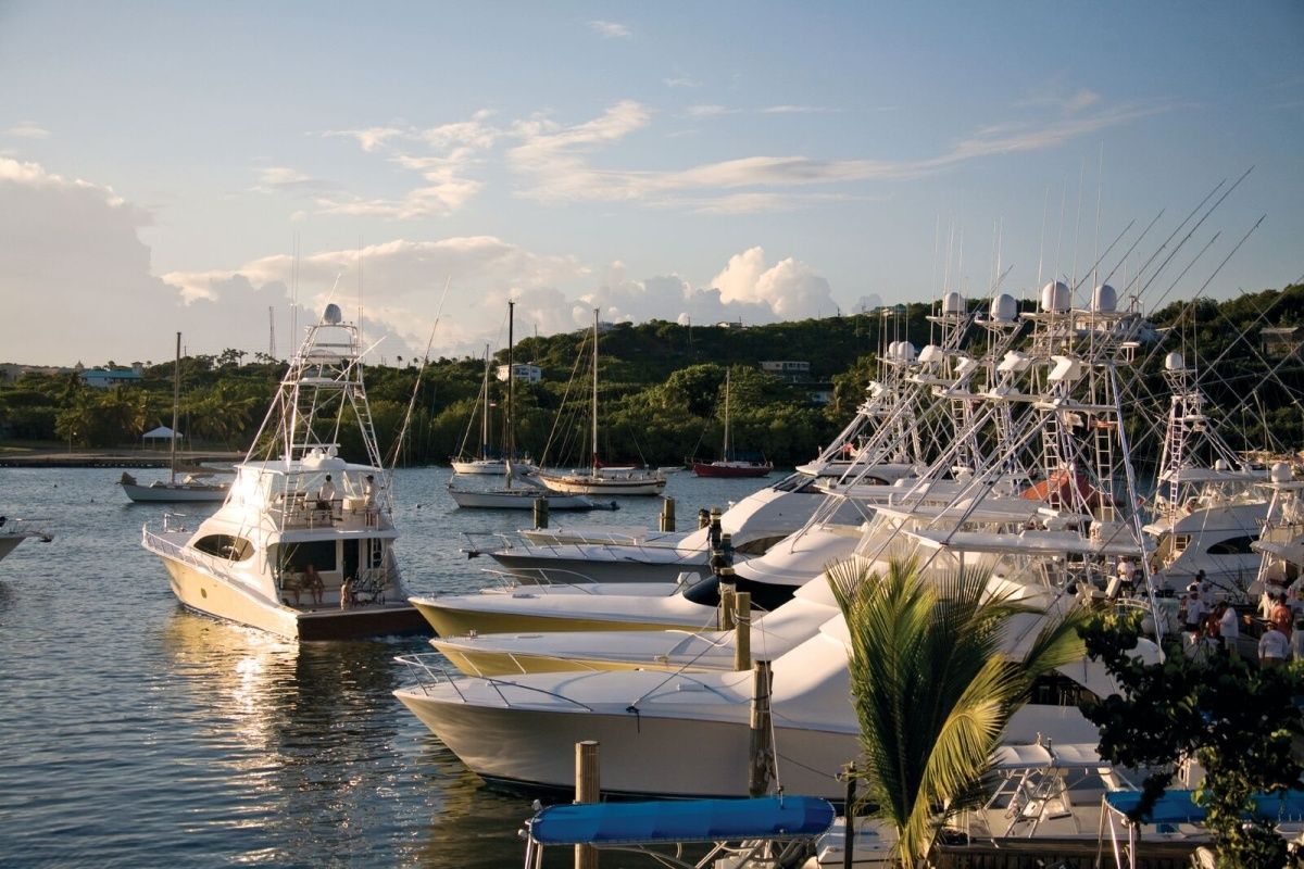 American Yacht Harbor