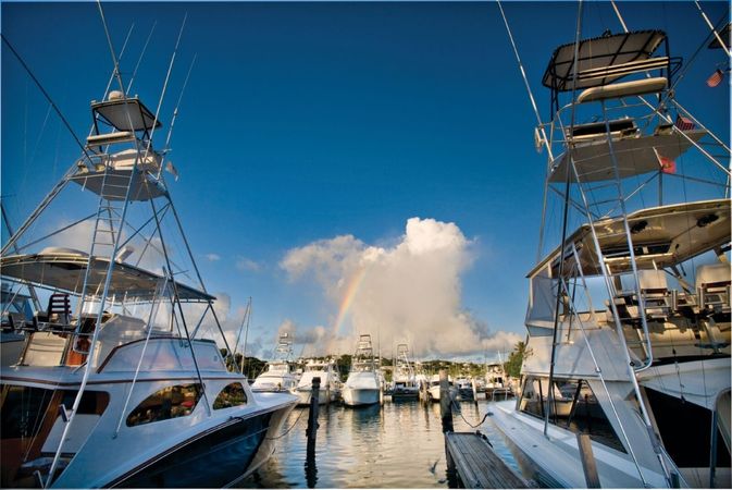 St Francis 50 | Paradigm Shift