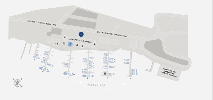 St Francis 50 | Paradigm Shift