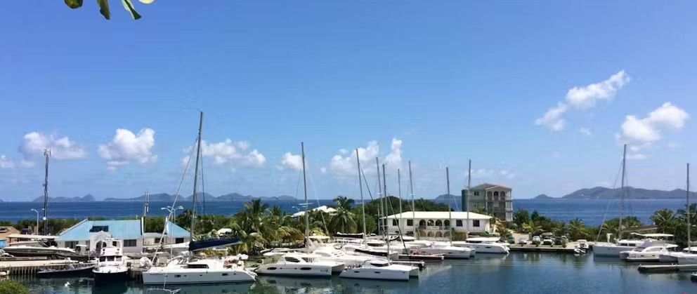 Leopard 48 | Zumbrota