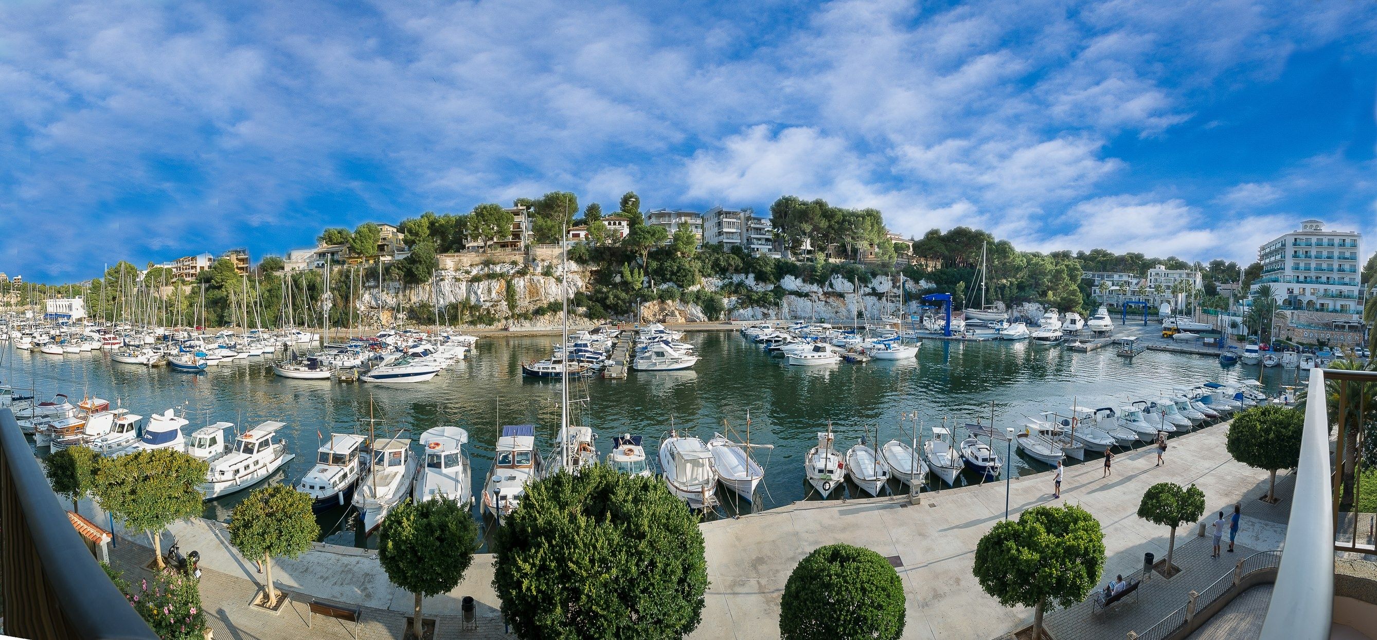 Gobbi 315 SC | Lore 2