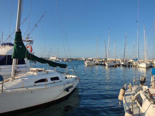 Remus 525 SC | Hawai