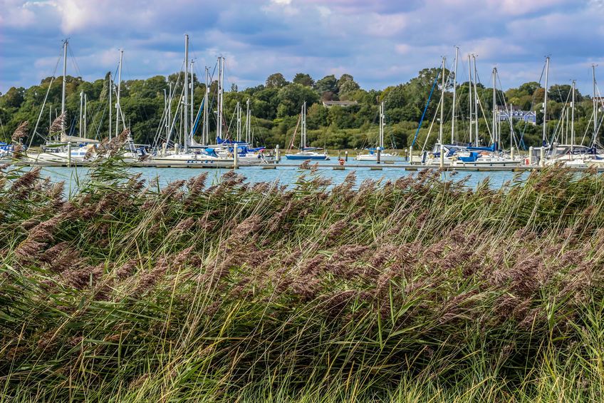 Hanse 418 | Invincible