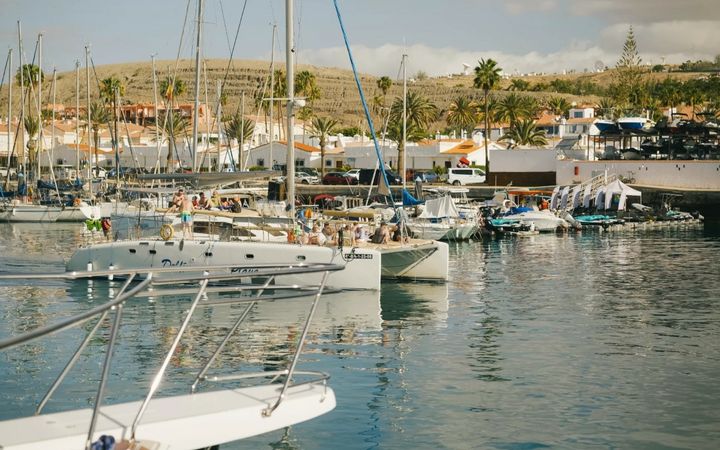 Cata 356 Sportfisherman | Fish on