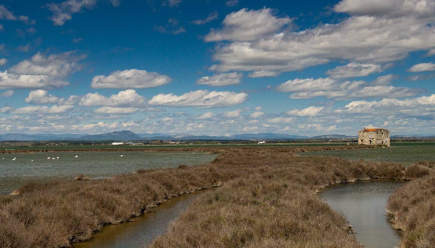 Camargue