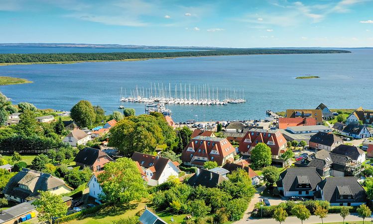 Bavaria 31 Cruiser | Mola 08 Breege