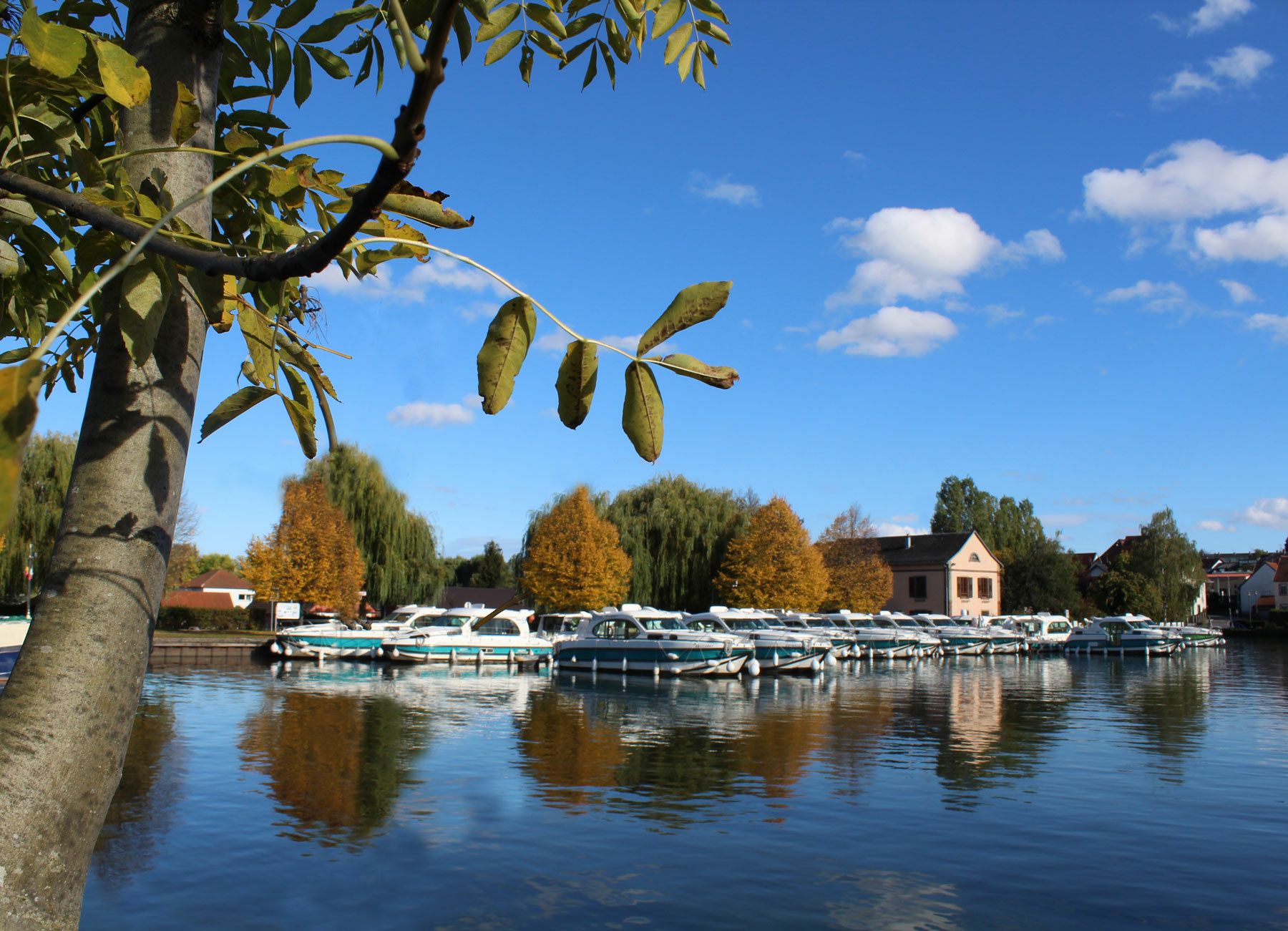 Nicols Primo | Mutzig