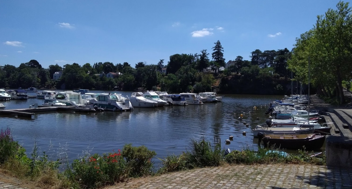 Nicols Primo | Neptune