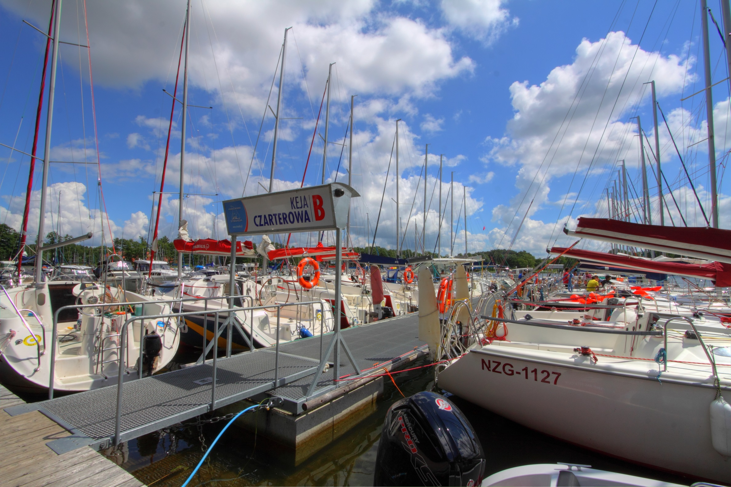 Northman Nexus Revo 870 | Wiktor